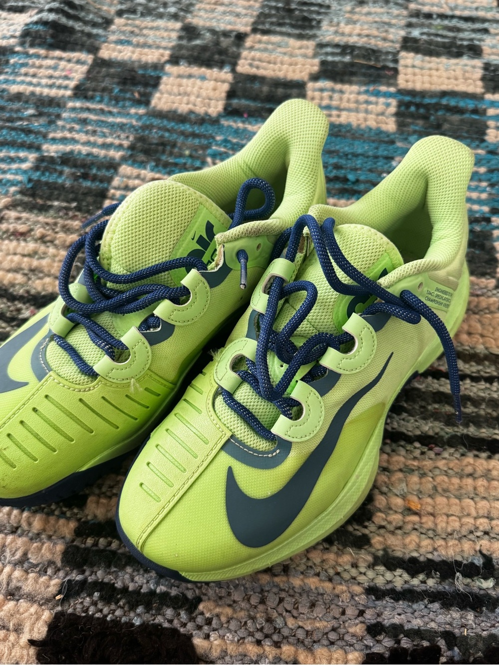Nike Zoom Tennis Court Sneakers